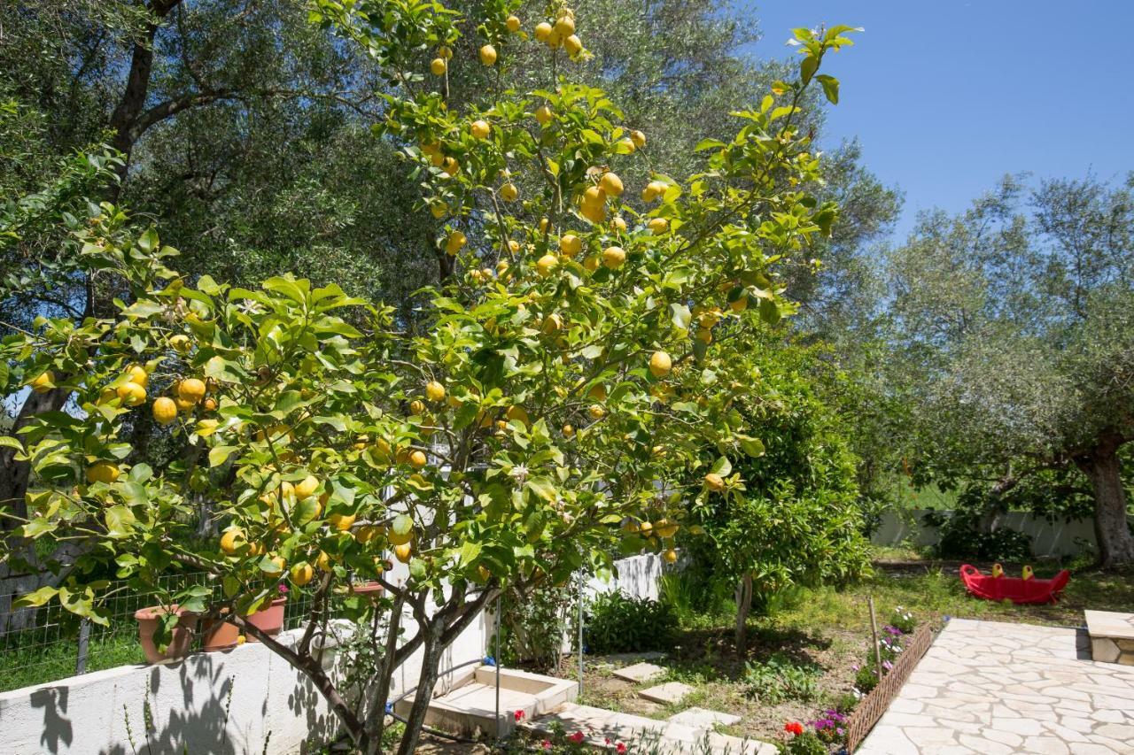 Karia Holiday Home Лефкими Екстериор снимка